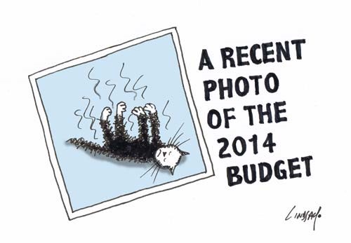 2014 budget ....